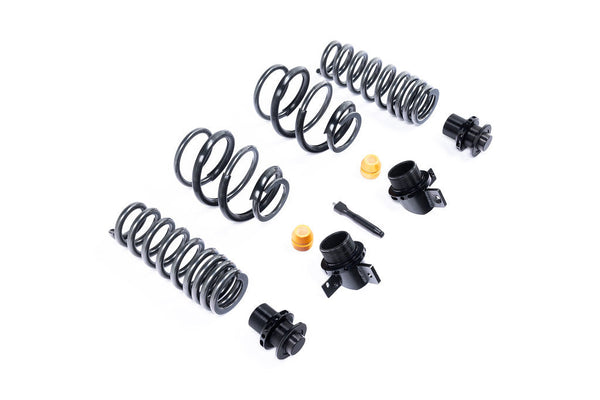 AST G8X M2 / M3 / M4 Adjustable Lowering Spring Kit