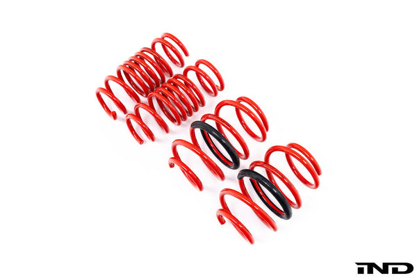 AST F97 X3M / X98 X4M Lowering Spring Set