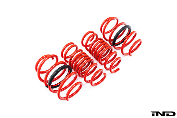 AST F97 X3M / X98 X4M Lowering Spring Set