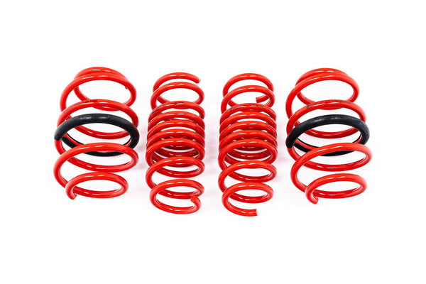 AST F97 X3M / X98 X4M Lowering Spring Set