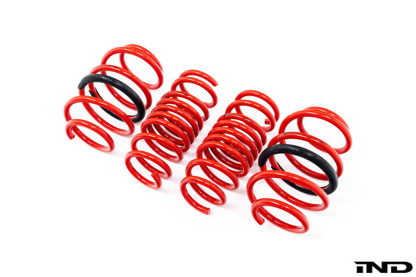 AST F97 X3M / X98 X4M Lowering Spring Set