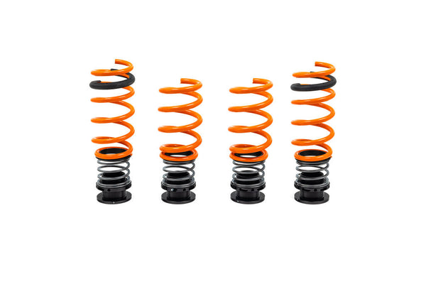 AST G90 / G99 M5 Adjustable Lowering Spring Kit