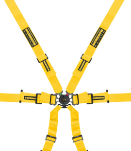 Schroth Flexi 2x2 Porsche GT3/GT4 6 Point Racing Harness - ModMyEuro