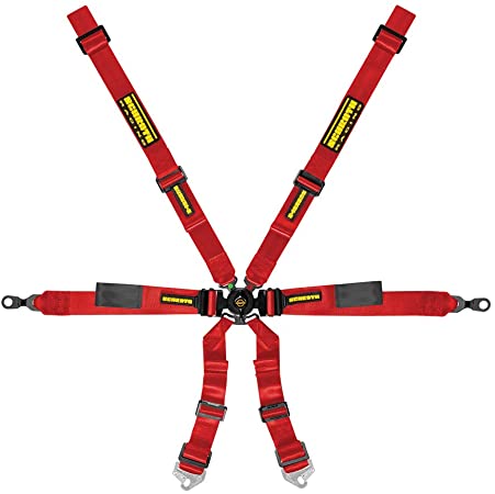 Schroth Enduro 2x2 Porsche GT3 6 Point Racing Harness - ModMyEuro