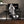 Footrest Series  GT800A