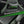 Ace Series WMT ACE-PRO