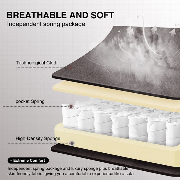 Footrest Series  LR002