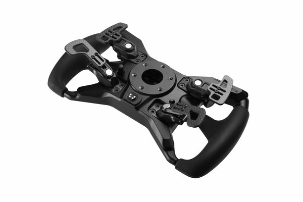 View of paddle shifters