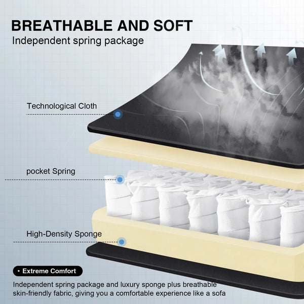 Footrest Series  LR002