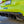 AutoTecknic G8X M3 / M4 Dry Carbon Performante Rear Diffuser