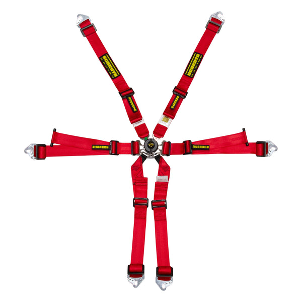 Schroth Flexi 2x2 6 Point Racing Harness - ModMyEuro