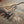 BMW F87 M2 Valved Sport Exhaust System (N55) - ModMyEuro