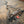 BMW F87 M2 Valved Sport Exhaust System (N55) - ModMyEuro