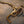 AUDI RSQ8 Valved Sport Exhaust system - ModMyEuro