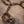 Mercedes W205 C63 / C63s Valved Sport Exhaust System - ModMyEuro