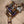 Mercedes W205 C63 / C63s Valved Sport Exhaust System - ModMyEuro