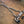 BMW G30 M550I Valved Sport Exhaust System