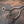 Audi RS6 / RS7 C8 Valved Sport Exhaust System - ModMyEuro
