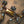 BMW X3M / X4M Valved Sport Exhaust System (F97 / F98) - ModMyEuro