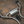 BMW X3 / X4 M40i Valved Sport Exhaust System