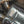 BMW X3 / X4 M40i Valved Sport Exhaust System