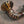 Valvetronic Valved Sport Exhaust System for Porsche 992 GT3/RS - ModMyEuro