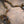 Mercedes W213 E63 AMG / AMGs Valved Sport Exhaust System - ModMyEuro
