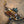 Mercedes CLA45 Valved Sport Exhaust System - ModMyEuro