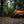 Aston Martin DBX Titan Sport Exhaust with Sound Architect™ (2020 on)