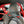 CMS Performance Clubsport Roll Bar for Porsche GT3/GT3RS/GT2RS (991) - ModMyEuro