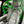 CMS Performance Clubsport Roll Bar for Porsche GT3/GT3RS (992) - ModMyEuro