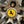 nan Product Image