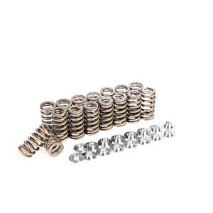 Integrated Engineering Valve Spring Kit 2.0T TSI  MQB