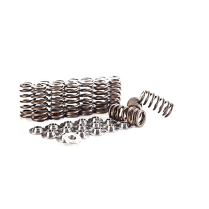 Integrated Engineering Valve Spring Kit 2.0T TSI  MQB