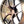 Litespeed Forged Aluminum Wheels Porsche 992 GT3RS Track Package (RS5RR) - ModMyEuro