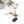 Renault Clio V6 - Sport Exhaust (1999-05)