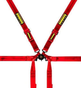 Schroth Flexi 2x2 Porsche GT3/GT4 6 Point Racing Harness - ModMyEuro