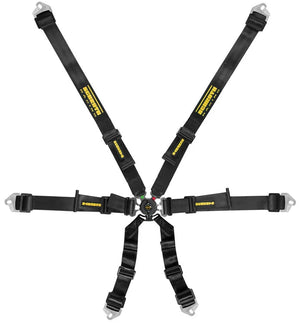 Schroth Flexi 2x2 6 Point Racing Harness - ModMyEuro