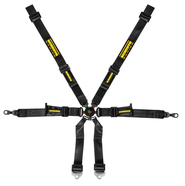Schroth Flexi 2x2 Porsche GT3/GT4 6 Point Racing Harness - ModMyEuro