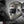 Stilo-ST6-Carbon-Fiber-GT-Helmet-AA0800AF1V-large-Marketing-Image