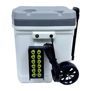 Paragon Viking Extreme Multi-Person Cooler (110V) - ModMyEuro