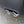 Eisenmann f07 f10 5 series performance exhaust 1 - iND Distribution