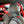 CMS Performance Clubsport Roll Bar for Porsche GT3-GT3RS (992) - Competition Motorsport