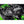 BMW F8X M3/ M4 - Eventuri Black Carbon Intake - V2 - ModMyEuro
