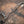 BMW F8x M3 / M4 Equal Length Valved Sport Exhaust System - ModMyEuro