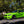 KW f87 m2 3 way adjustable clubsport - iND Distribution