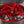 Litespeed RS5D Forged Magnesium Wheel - ModMyEuro