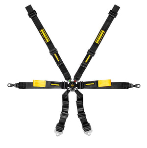 Schroth Enduro 2x2 Porsche GT3 6 Point Racing Harness - ModMyEuro
