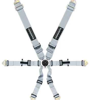 Schroth Flexi 2x2 6 Point Racing Harness - ModMyEuro