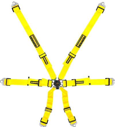 Schroth Flexi 2x2 6 Point Racing Harness - ModMyEuro
